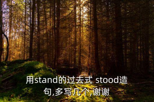 用stand的過去式 stood造句,多寫幾個(gè),謝謝