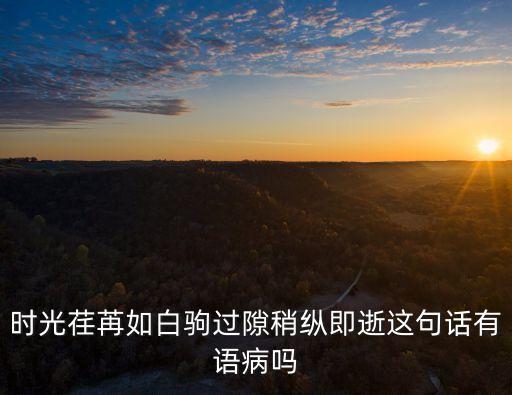 時間如白駒過隙，人生天地之間若白駒過隙忽然而已什么意思