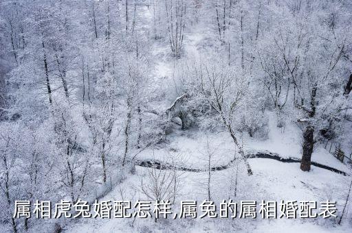 虎兔,虎兔相配嗎?