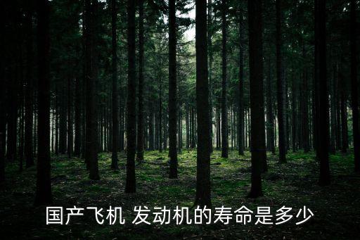 戰斗機發動機,戰斗機和客機發動機有什么區別?