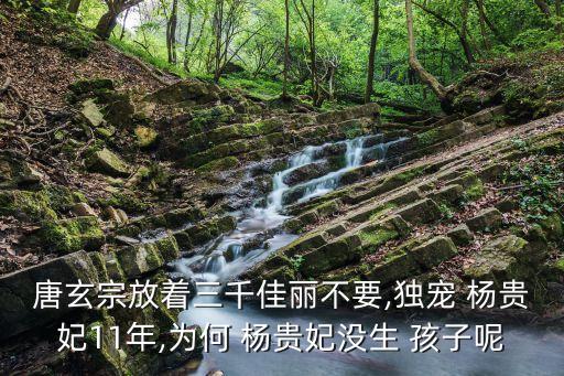 楊貴妃有孩子嗎,楊貴妃沒生孩子和西施一樣的原因嗎?