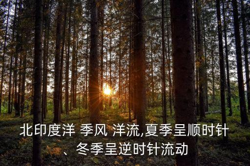 北印度洋 季風 洋流,夏季呈順時針、冬季呈逆時針流動