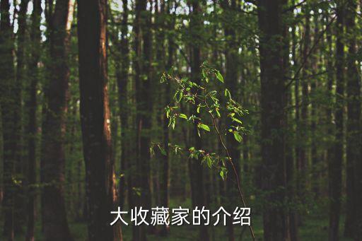 大收藏家的介紹