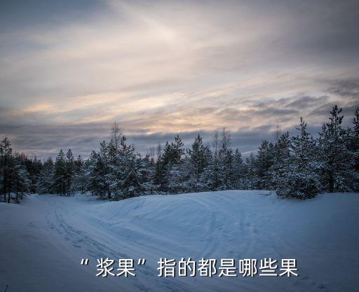 “ 漿果”指的都是哪些果