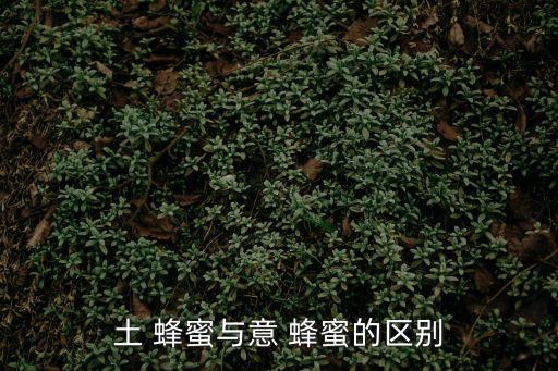 土蜂蜜和普通蜂蜜的區別,蜂蜜和tu蜂蜜哪個更好吃?