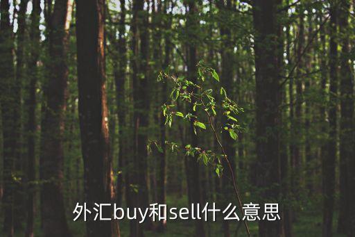外匯buy和sell什么意思