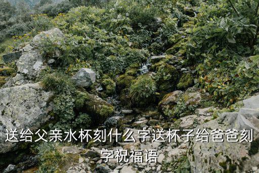 父愛無疆,關(guān)于父愛和母愛四句話你必須知道的