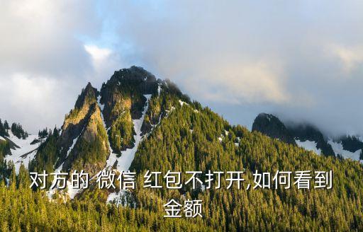 微信紅包不拆開怎么查看金額,微信紅包怎么看金額?