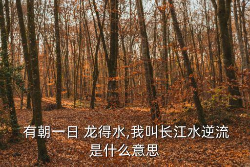  有朝一日 龍得水,我叫長江水逆流是什么意思