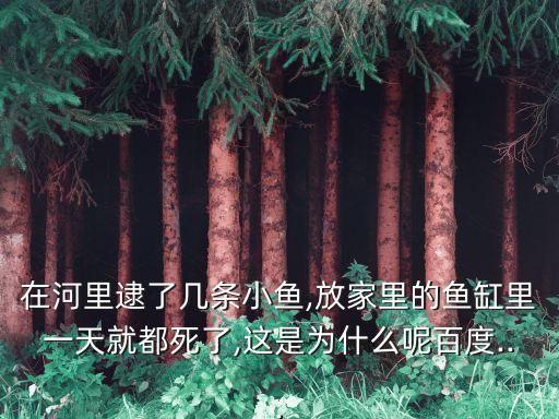 在河里逮了幾條小魚,放家里的魚缸里一天就都死了,這是為什么呢百度...