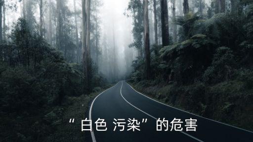 “ 白色 污染”的危害