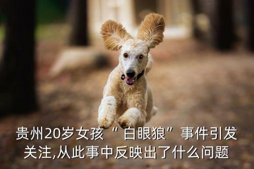 白眼狼的故事,白眼狼之吊眼瞎的來歷