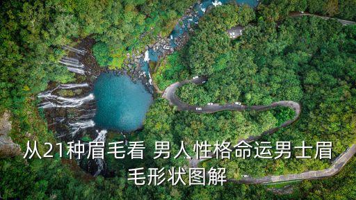從21種眉毛看 男人性格命運(yùn)男士眉毛形狀圖解