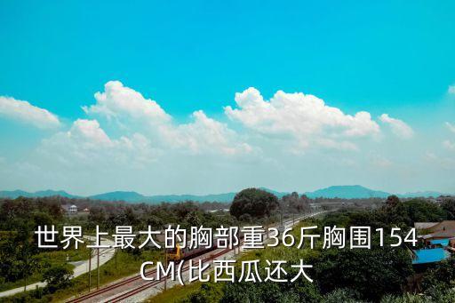 中國胸最大的女人,女明星誰胸圍最大?比較大的我覺得有三位