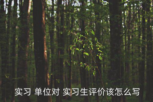  實習 單位對 實習生評價該怎么寫
