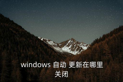  windows 自動(dòng) 更新在哪里關(guān)閉
