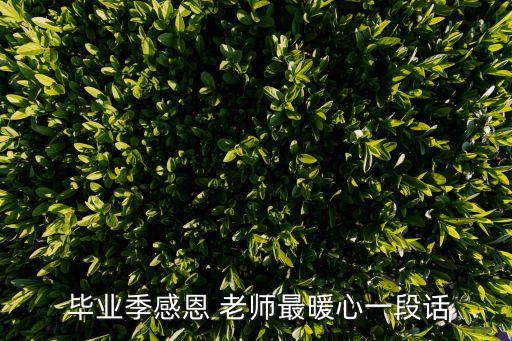  畢業(yè)季感恩 老師最暖心一段話