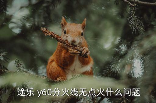 途樂y60,日產(chǎn)途樂引入國內(nèi)現(xiàn)已接受預訂