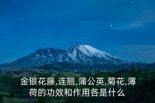  金銀花藤,連翹,蒲公英,菊花,薄荷的功效和作用各是什么
