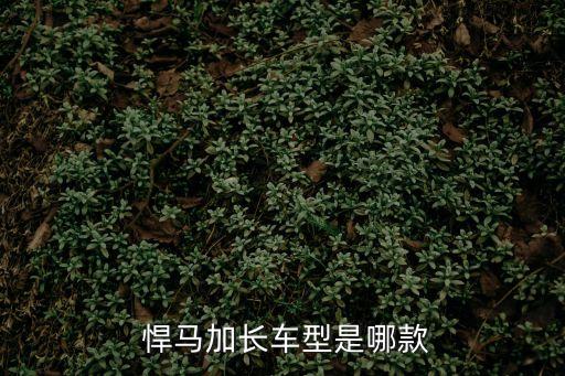  悍馬加長車型是哪款