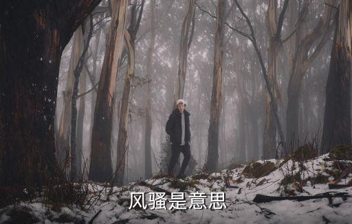 風騷婦女,風騷百年成為文學代名詞