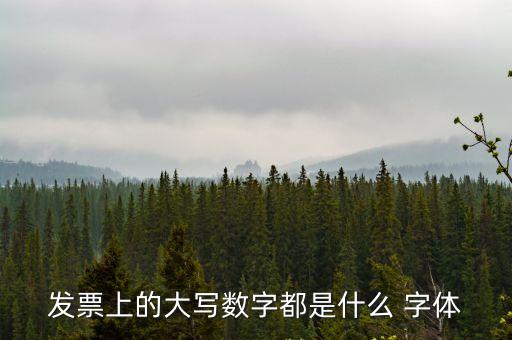 正楷字體,正楷和楷書是什么?