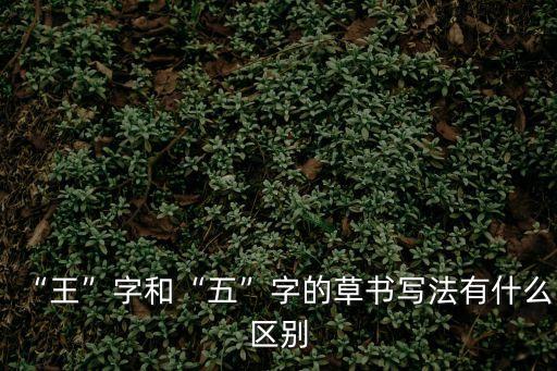 王和,國際象棋后和王區別:王字的象征意義