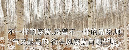 街頭風格,街頭風格如此流行，嘻哈風格是什么?