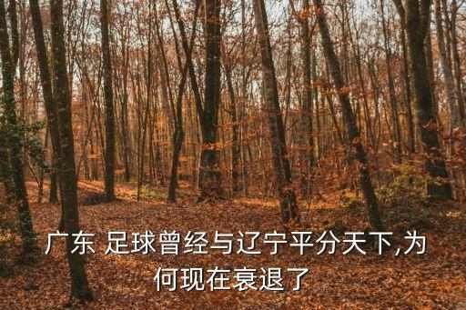  廣東 足球曾經與遼寧平分天下,為何現在衰退了