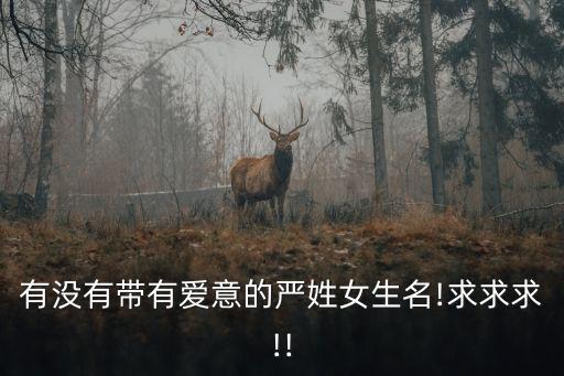 姓嚴的女孩名字,關于姓氏和名字的解讀