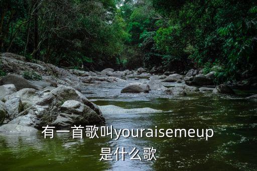 有一首歌叫youraisemeup是什么歌