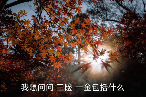 三險一金是什么,三險一金是指什么?