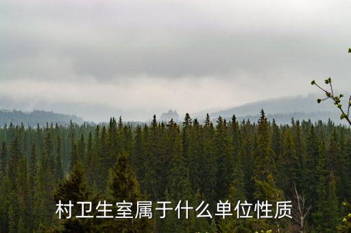 村衛生室屬于什么單位性質