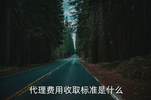代理費,代理收取代理費的標準