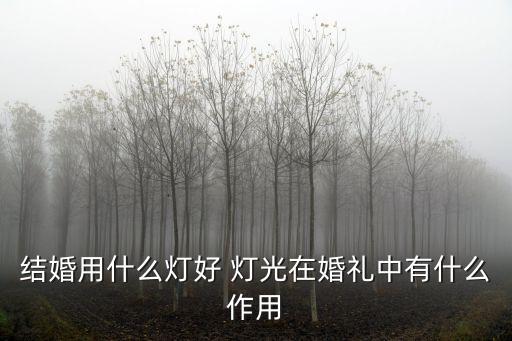 舞美燈光,演出演出行業協會頒發燈光師三級資質