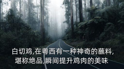  白切雞,在粵西有一種神奇的蘸料,堪稱絕品,瞬間提升雞肉的美味