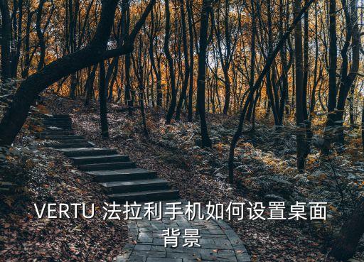 VERTU 法拉利手機如何設置桌面背景