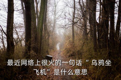 烏鴉坐飛機是什么意思,烏鴉坐飛機是什么梗?