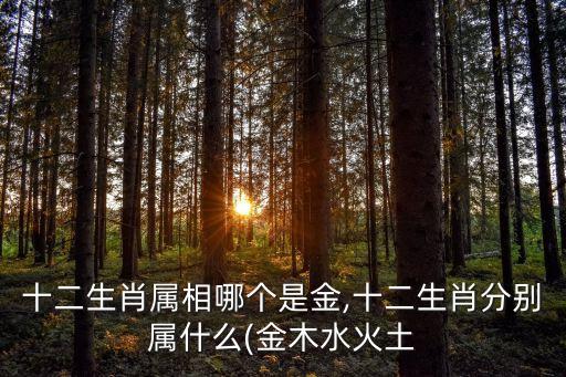 十二生肖屬相哪個是金,十二生肖分別屬什么(金木水火土