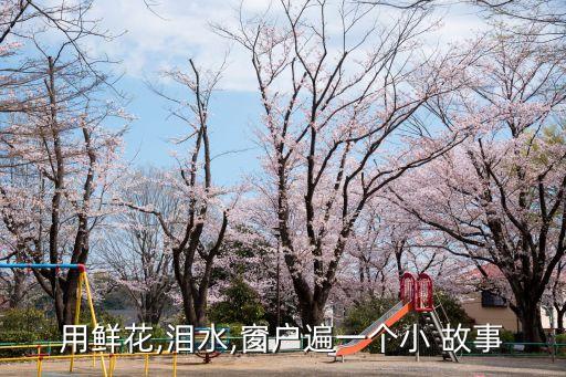 用鮮花,淚水,窗戶遍一個小 故事