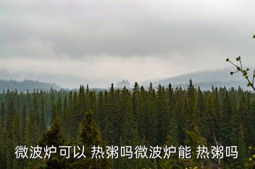 微波爐可以 熱粥嗎微波爐能 熱粥嗎