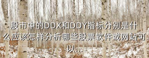 股市中的DDX和DDY指標(biāo)分別是什么應(yīng)該怎樣分析哪些股票軟件或網(wǎng)站可以...