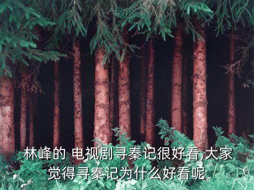  林峰的 電視劇尋秦記很好看,大家覺得尋秦記為什么好看呢