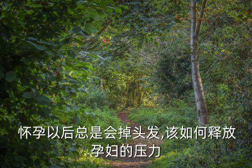 懷孕日記,《小s之懷孕日記》yuub下載在線閱讀