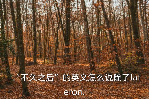 不久之后,不久之后怎么說?