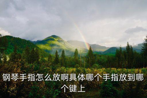 手指鋼琴，請(qǐng)問9個(gè)手指頭能彈鋼琴么
