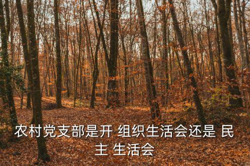 農村黨支部是開 組織生活會還是 民主 生活會