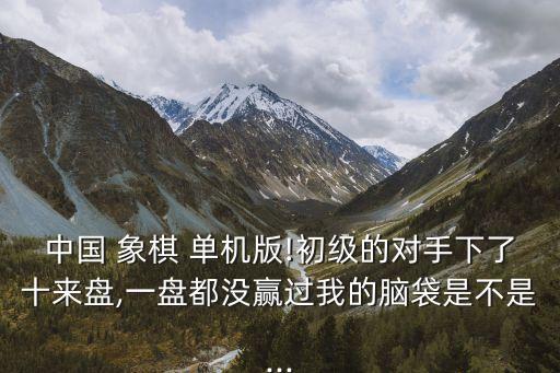 中國 象棋 單機版!初級的對手下了十來盤,一盤都沒贏過我的腦袋是不是...