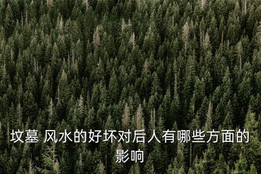 墳墓 風水的好壞對后人有哪些方面的影響