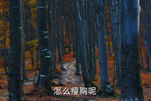 男生瘦胸,男生怎么瘦胸?吃素瘦胸最快